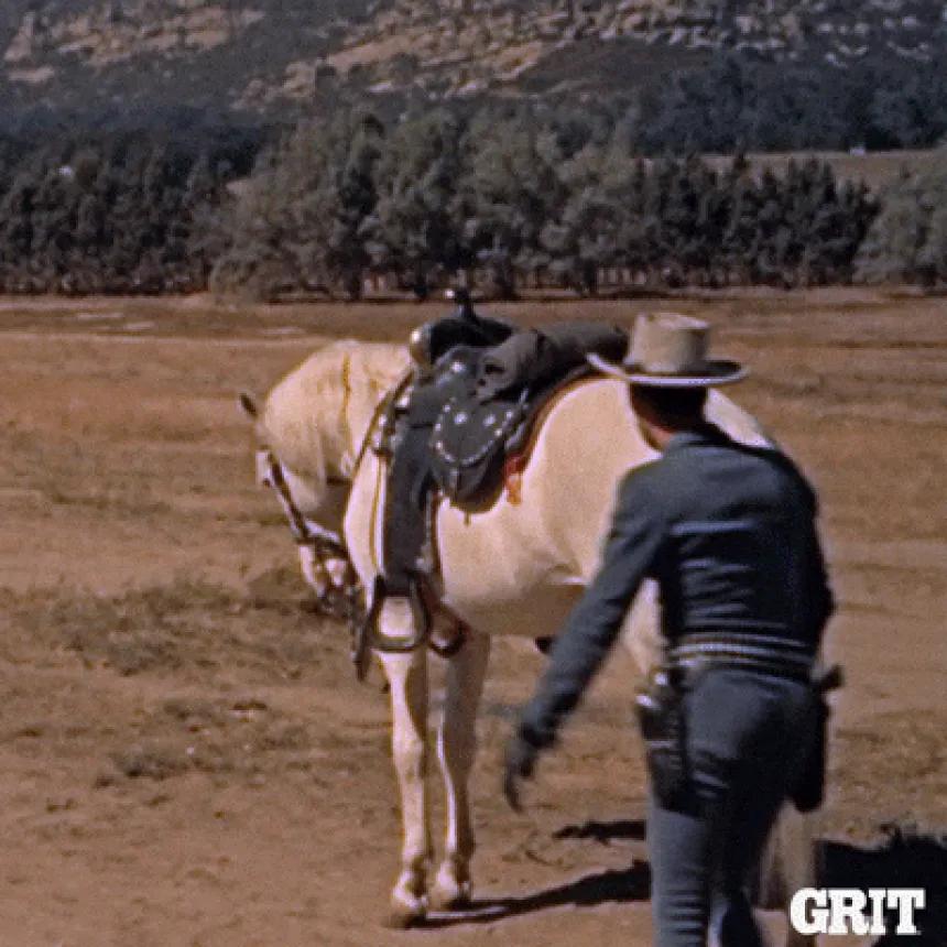 Horseback