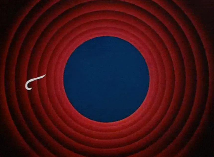That's All Folks!